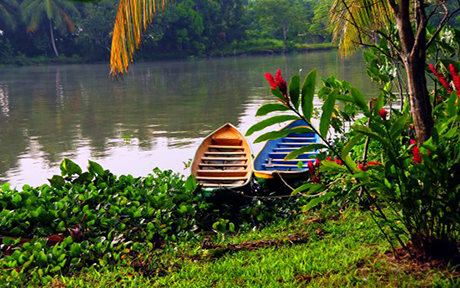 Orinoco Delta Lodge460x288