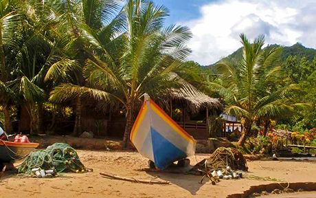 caribbean coast puipui lodge460x288