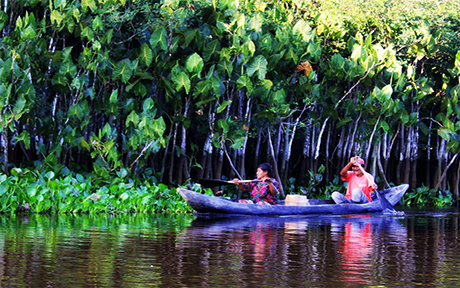 curiara orinoco460x288