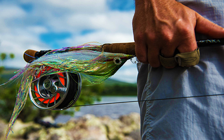 fishing3 460x288
