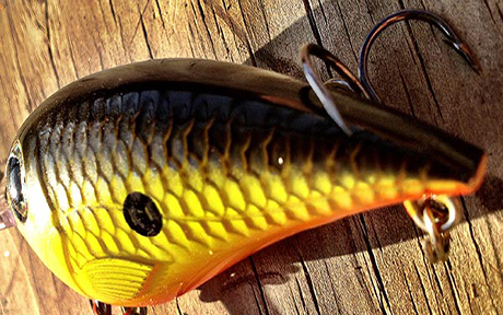 fishing7 460x288