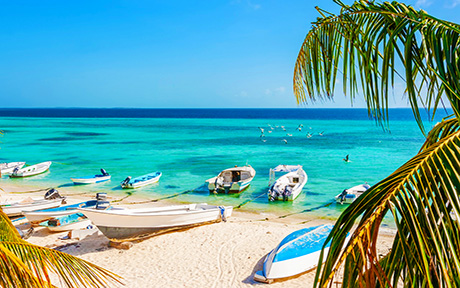 los rokes beach460x288