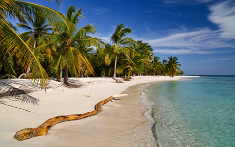 morrocoy cayo sombrero460x288