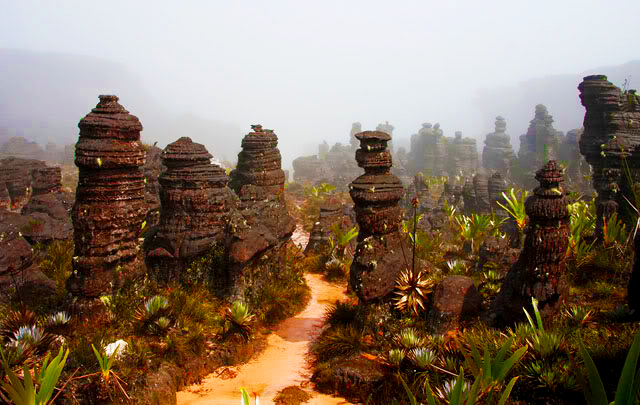 roraima3 460x288