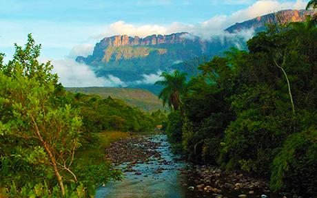 tour roraima river460x288