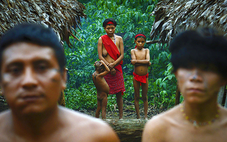 yanomami ven 14 460x288