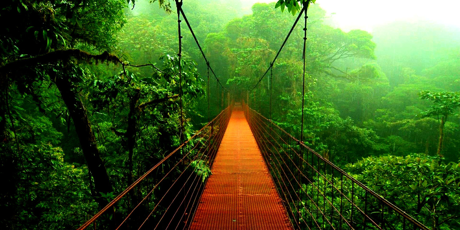 wallpaper wallpapers image love nature cool bestwallpaper775