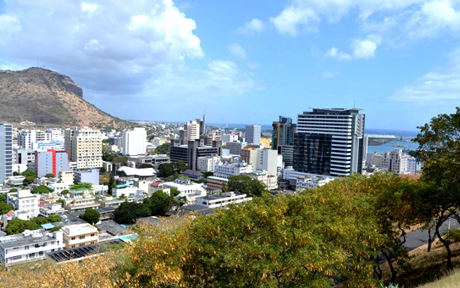 DSC 1139555