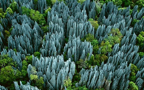 tsingy de bemaraha 8