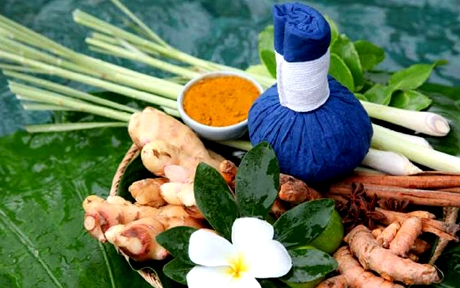 4032624 holistic health edible scrubs at cool spa aff9f504 m