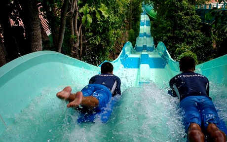 Аквапарк &laquo;Adventure Cove&raquo;