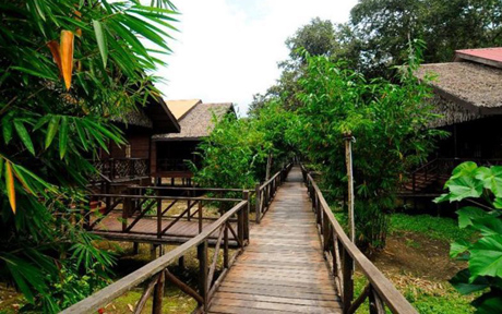 Bilit Rainforest Lodge