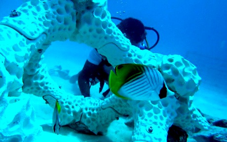 Hideaway Beach Resort Maldives 5*