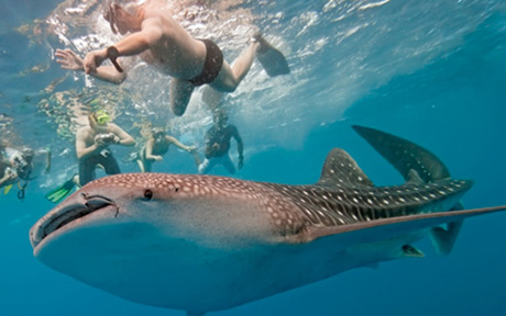 W Retreat Spa Maldives