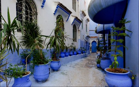 gallery 1 64 27145145