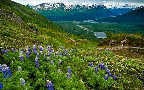 zapovednik kenai ferds
