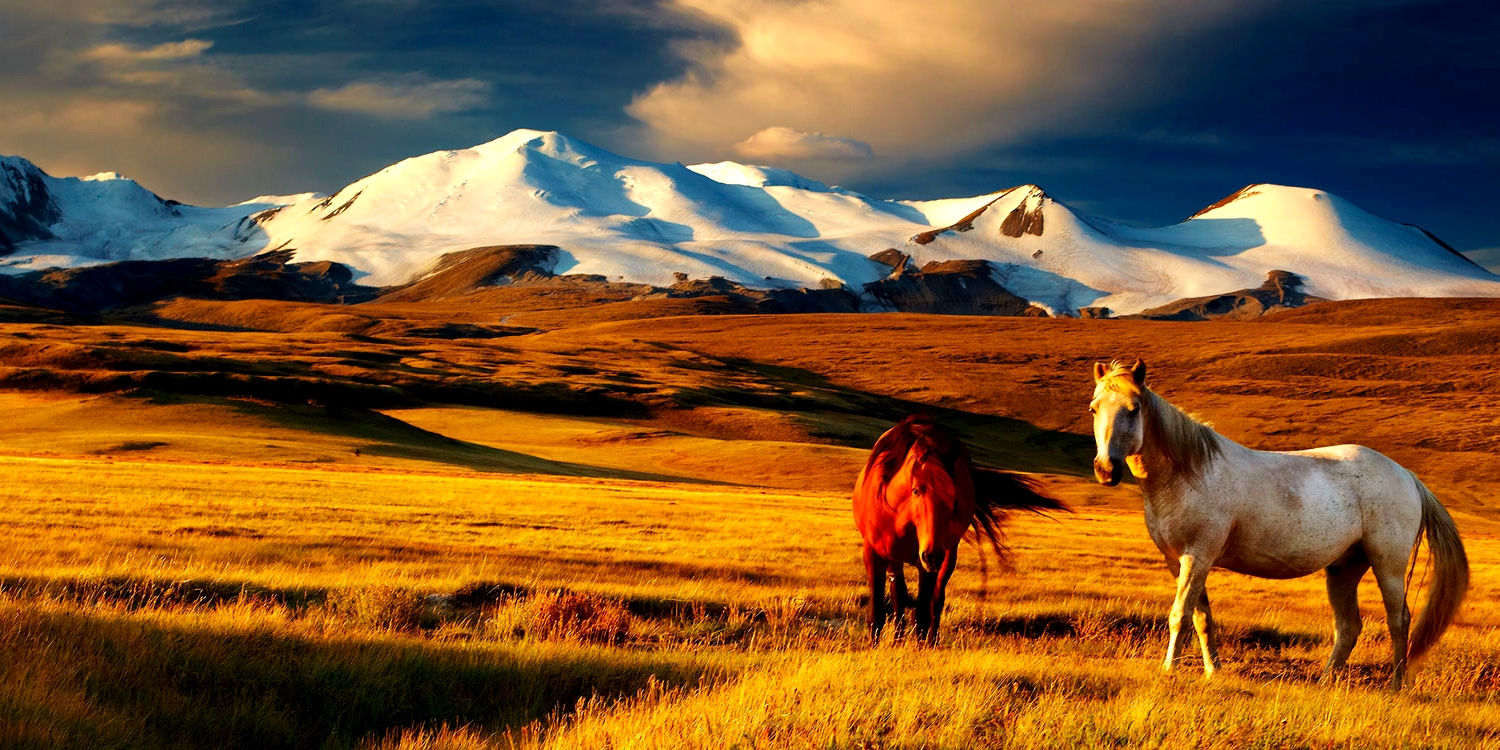 mongolia header1500