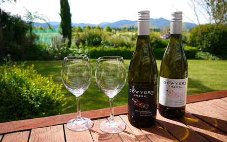 new zeland malboro vino den7