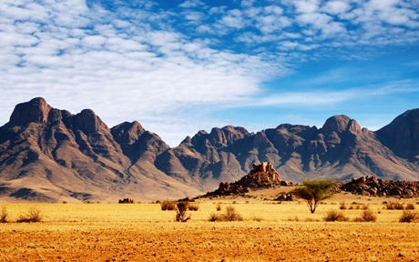 safarinamib