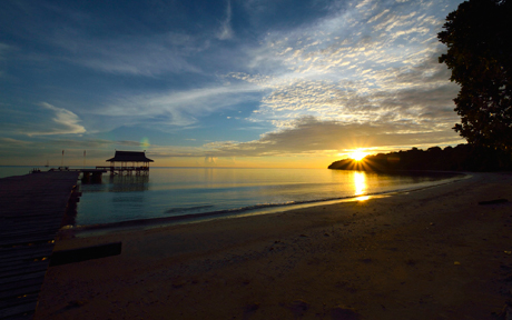 pulau tiga
