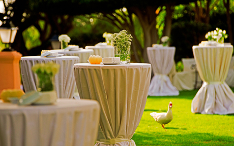 Gran Hotel Bahia del Duque Resort 5*