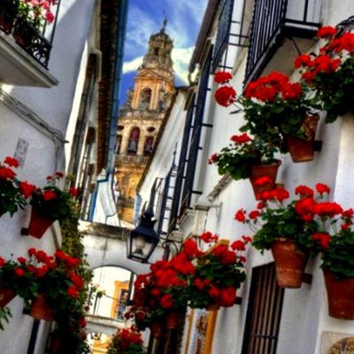 1920x1200_cordoba-flowers