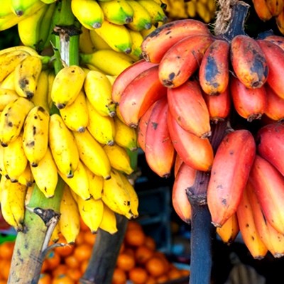 412_200708060530_4136_2006-12-28_Bananas400