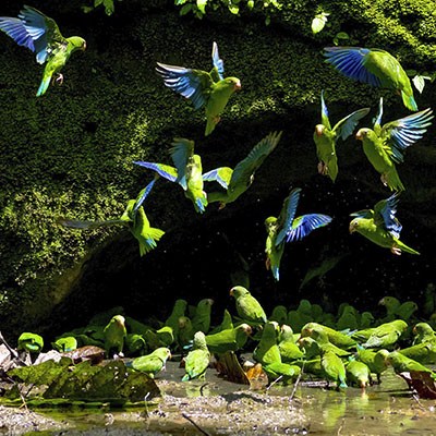 Nature_Travel_land_mal