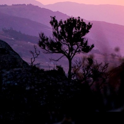 Swaziland-Web-27