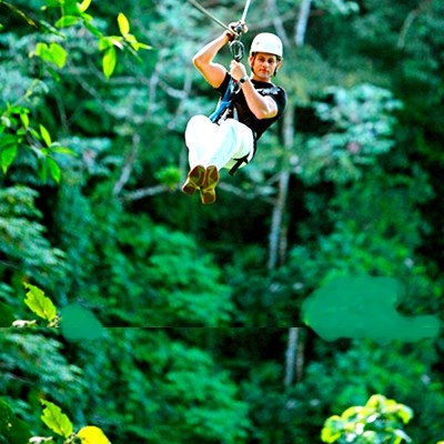 canopy7