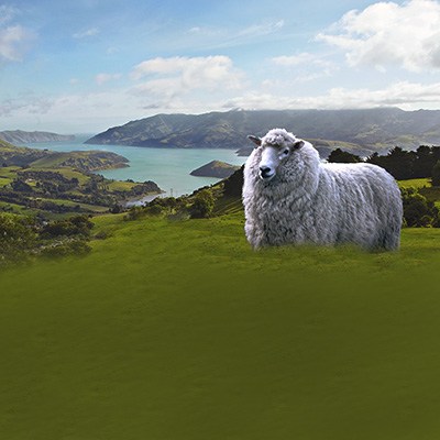 maiskie_kanikulu_v_nz_malenkiy