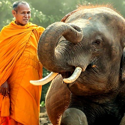monk-and-baby-elephant