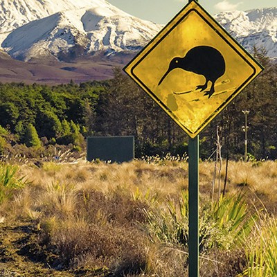 nz_ngaruhoe_kiwi3_