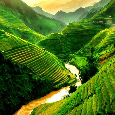sapa.jpg