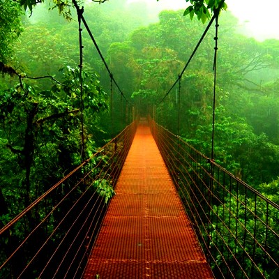 wallpaper_wallpapers_image_love_nature_cool_bestwallpaper075