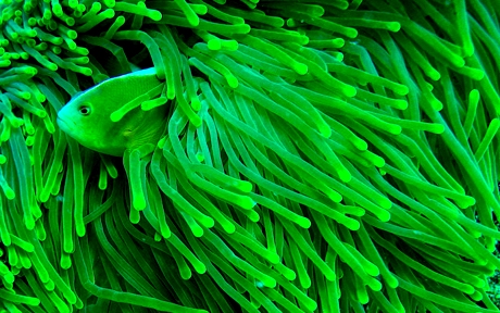 color6