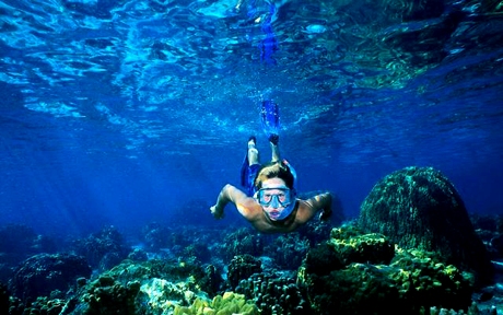 sea pattaya6