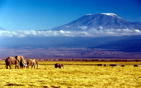 04 kilimanjaro 2729