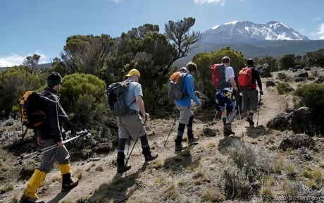 kili lemosho 700 2