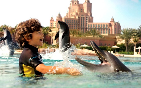 Дельфинарий Dolphin Bay