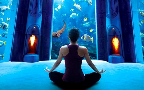 Atlantis The Palm