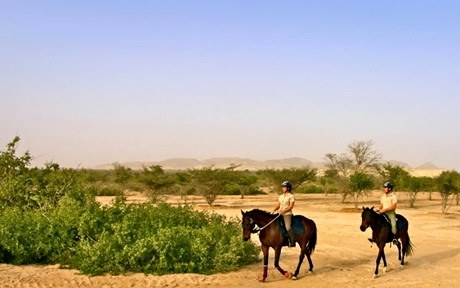 Sir Bani Yas