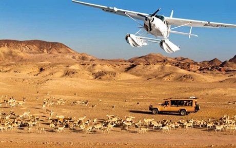 Way to Sir Bani Yas island