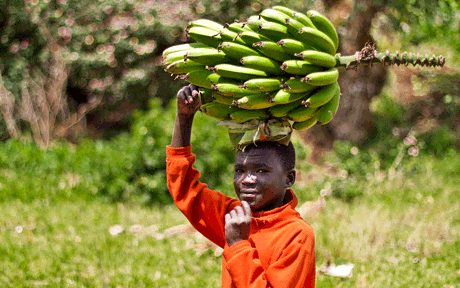 lets travel to rwanda