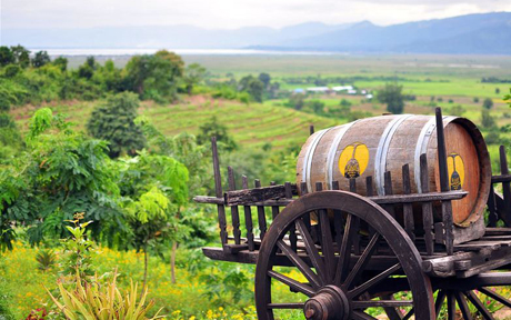винодельня Red Mountain Estate Vineyards & Winery